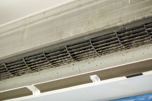 Best Air Duct Mold Removal  in Matthews, NC